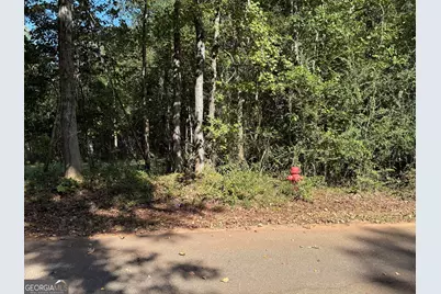 0 Hudson, Hamilton, GA 31811 - Photo 5