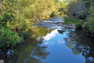 452 River Forest Run, Cleveland, GA 30528 - Photo 3