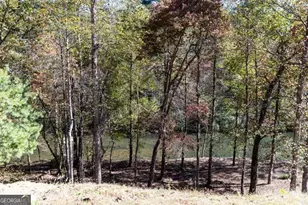 452 River Forest Run, Cleveland, GA 30528 - Photo 7