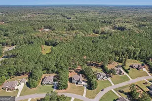 55 Fox Hall Crossing E, Senoia, GA 30276 - Photo 71