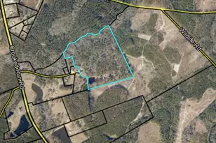 442 Fox Run Rd, Adrian, GA 31002 - Photo 11