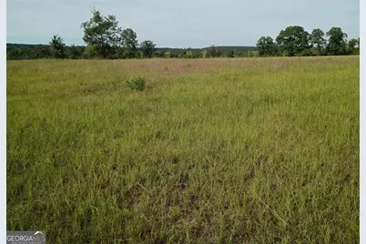 2651 Old Balls Ferry Road, Toomsboro, GA 31090 - Photo 5
