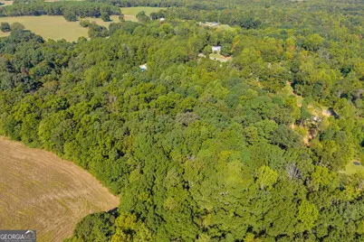 0 Tony Drive, Hartwell, GA 30643 - Photo 9