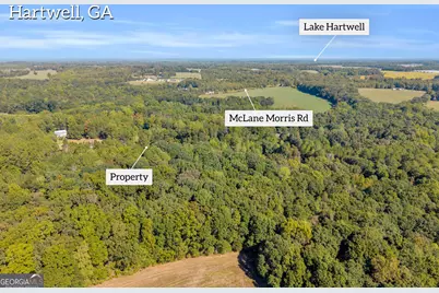 0 Tony Drive, Hartwell, GA 30643 - Photo 5