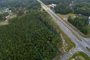 0 W First St Ext, Springfield, GA 31329 - Photo 1