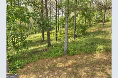 Lot 31 Eastside Drive, Ellijay, GA 30536 - Photo 7