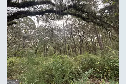 Lot 4 Carnochan Lane, Darien, GA 31305 - Photo 3