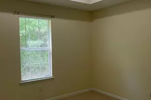 206 Goldleaf Dr, Hampton, GA 30228 - Photo 11