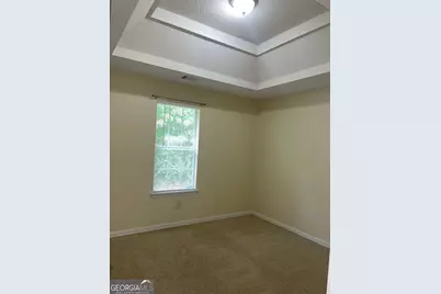 206 Goldleaf Drive, Hampton, GA 30228 - Photo 13