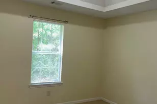 206 Goldleaf Dr, Hampton, GA 30228 - Photo 13