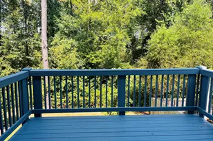 138 Silver Birch Pass, Newnan, GA 30265 - Photo 13