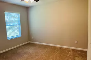138 Silver Birch Pass, Newnan, GA 30265 - Photo 33