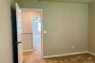 138 Silver Birch Pass, Newnan, GA 30265 - Photo 21