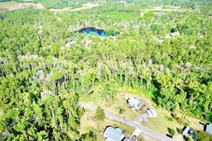 38 Swann Lake Rd, Hazlehurst, GA 31539 - Photo 93