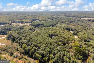 0 Kincaid Cemetery Rd, Colbert, GA 30628 - Photo 27
