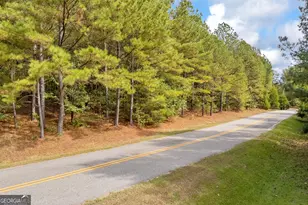 0 Kincaid Cemetery Rd, Colbert, GA 30628 - Photo 39