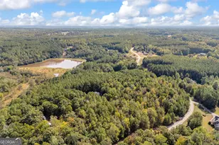 0 Kincaid Cemetery Rd, Colbert, GA 30628 - Photo 23