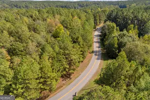 0 Kincaid Cemetery Rd, Colbert, GA 30628 - Photo 29