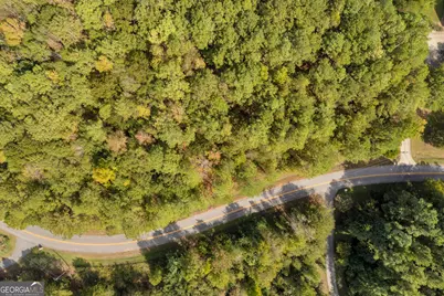 0 Kincaid Cemetery Road, Colbert, GA 30628 - Photo 33