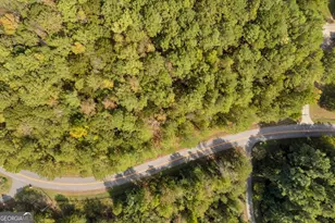 0 Kincaid Cemetery Rd, Colbert, GA 30628 - Photo 33
