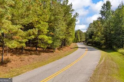 0 Kincaid Cemetery Road, Colbert, GA 30628 - Photo 31