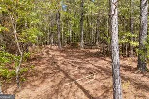 0 Kincaid Cemetery Rd, Colbert, GA 30628 - Photo 5