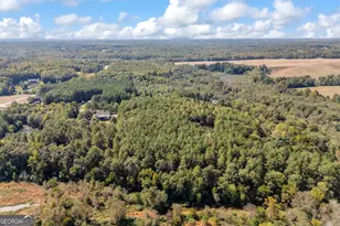 0 Kincaid Cemetery Rd, Colbert, GA 30628 - Photo 21