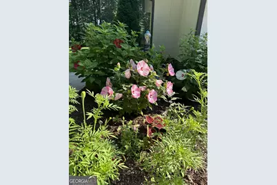 6500 Post Road, Monticello, GA 31064 - Photo 73