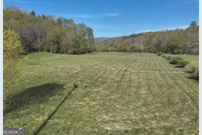 7590 Mobile Road, Blue Ridge, GA 30513 - Photo 9