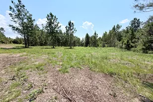 68 McLean Rd, Lumber City, GA 31549 - Photo 41