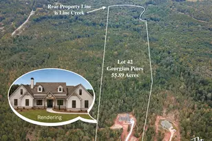 Lot #42 Starlight Dr, Senoia, GA 30276 - Photo 1