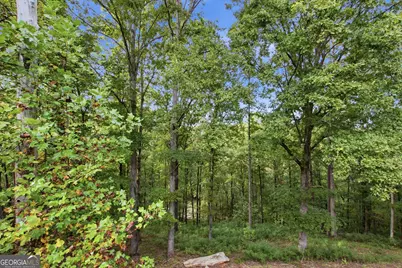699 Cobblestone Lane, Demorest, GA 30535 - Photo 37