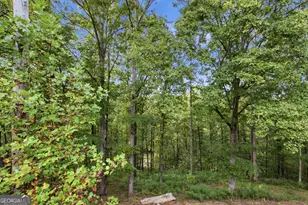 699 Cobblestone Ln, Demorest, GA 30535 - Photo 37