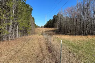 150 Charles Painter Rd, Villa Rica, GA 30180 - Photo 37