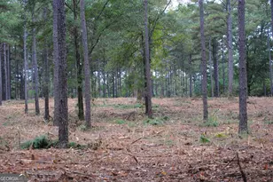 137 W Drummond, West Point, GA 31833 - Photo 1