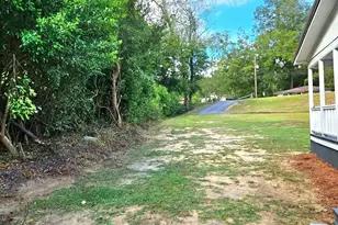 1052 E Hwy 26, Buena Vista, GA 31803 - Photo 43