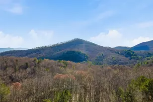 31 The Kings Ct, Cherry Log, GA 30522 - Photo 67