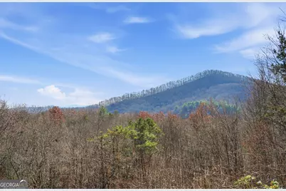 31 The Kings Court, Cherry Log, GA 30522 - Photo 73