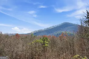 31 The Kings Ct, Cherry Log, GA 30522 - Photo 73