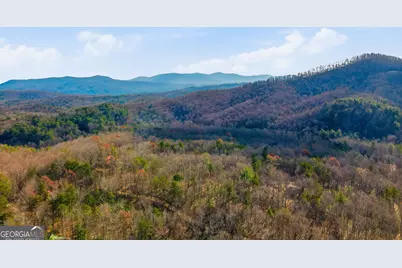31 The Kings Court, Cherry Log, GA 30522 - Photo 69
