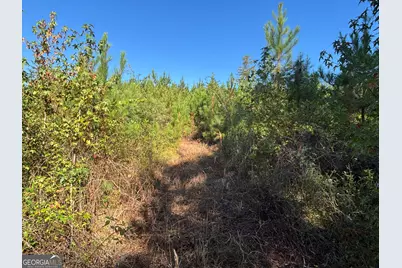 0 Kilpatrick Road #TRACT 2A, Eatonton, GA 31024 - Photo 5