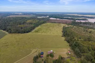 1031 Scotts Store Rd, Millen, GA 30442 - Photo 7