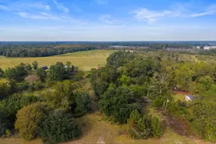 1031 Scotts Store Rd, Millen, GA 30442 - Photo 35