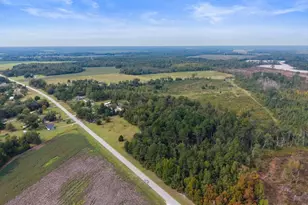 1031 Scotts Store Rd, Millen, GA 30442 - Photo 9