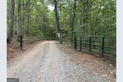 333 Orchard Loop Road, Ellijay, GA 30536 - Photo 11