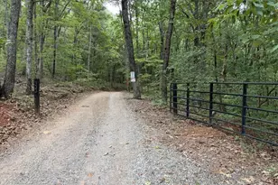 333 Orchard Loop Rd, Ellijay, GA 30536 - Photo 11