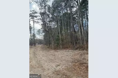 0 Ga Hwy 338 (Taylor Grocery Rd), Cadwell, GA 31009 - Photo 9