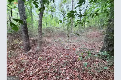 147 Bond Bridge Extension, Royston, GA 30662 - Photo 7