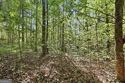 288 Sanctuary Drive, Toccoa, GA 30577 - Photo 45