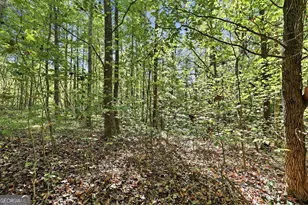 288 Sanctuary Dr, Toccoa, GA 30577 - Photo 45